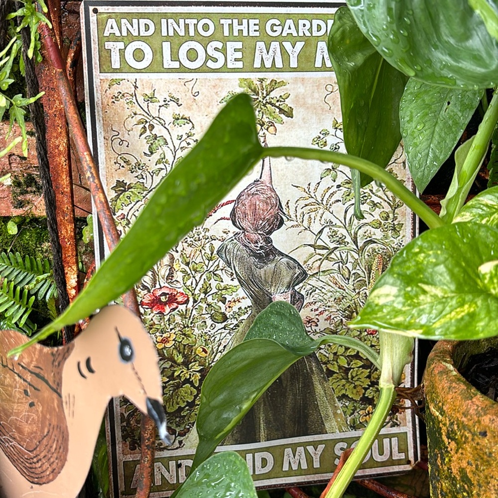 Meet your Posher, Niky
